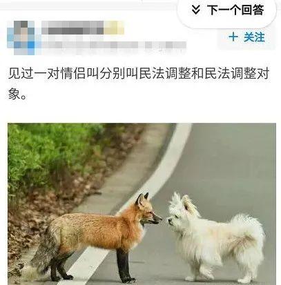 charon和pluto情侣名，PlutoCharon（自从用专业知识改了情侣名网名）