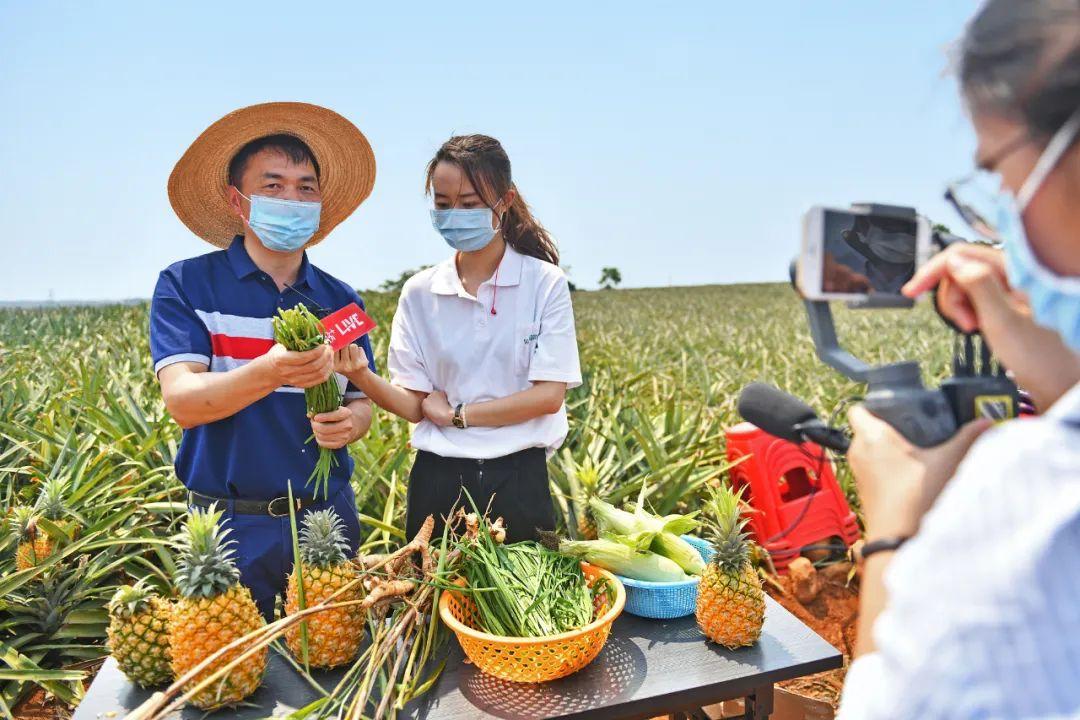 澎湃的什么填空，澎湃的什么填空是什么（湛江，中国大陆的尽头）