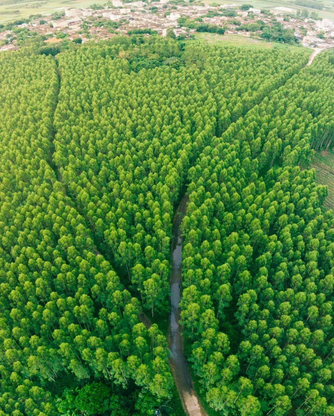 澎湃的什么填空，澎湃的什么填空是什么（湛江，中国大陆的尽头）