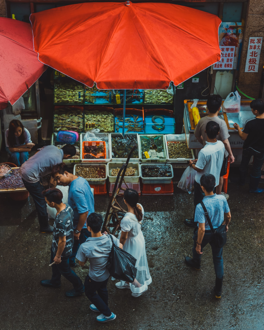 澎湃的什么填空，澎湃的什么填空是什么（湛江，中国大陆的尽头）