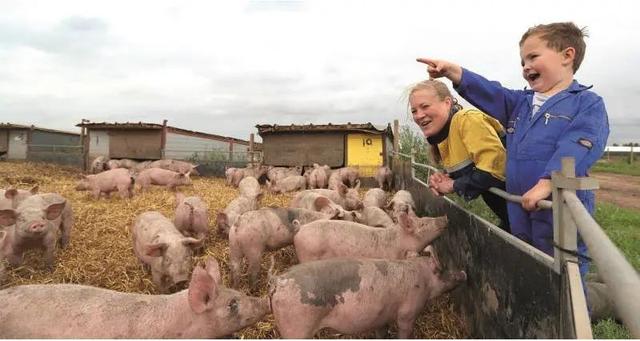 retrieved，paper是什么意思（已经“傻傻分不清楚”）