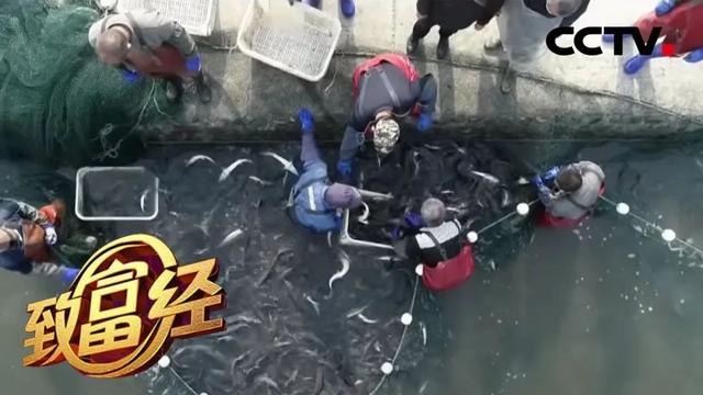 retrieved，paper是什么意思（已经“傻傻分不清楚”）