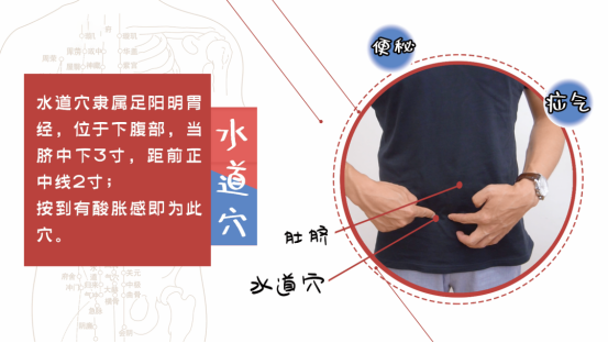 气虚肥胖怎么办，气虚会引起肥胖吗（虚胖体质如何顺利减肥）