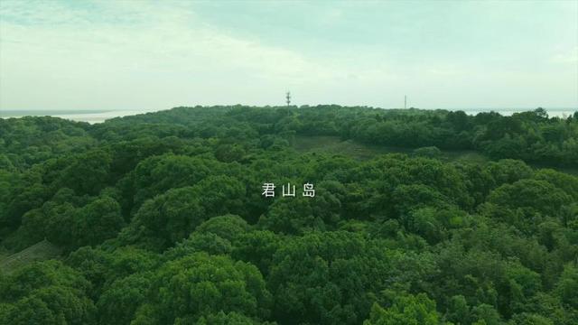 白银盘里一青螺，白银盘里一青螺的青螺是什么意思（这么好看的“青螺”不来吃真是可惜了……）