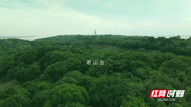 白银盘里一青螺，白银盘里一青螺的青螺是什么意思（这么好看的“青螺”不来吃真是可惜了……）