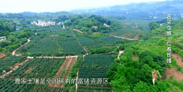 禾加一笔是什么字，禾字加一笔是什么字（乡村变美、群众变富...看）