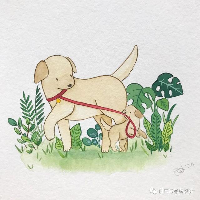 小动物主题可爱图片，小动物图像可爱（插画丨敲可爱的水彩风小动物）