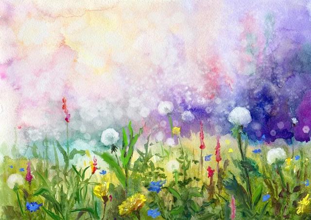 海伦凯勒的生平简介，海伦凯勒介绍（假如给我三天光明之光明和声音）