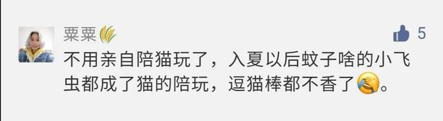 家里有好多黑色的小虫子是什么，家里出现很多小黑虫像跳蚤是什么（最近你家到处都是的小黑虫）