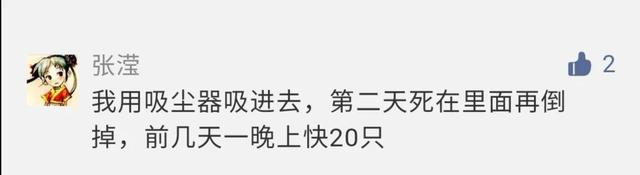 家里有好多黑色的小虫子是什么，家里出现很多小黑虫像跳蚤是什么（最近你家到处都是的小黑虫）