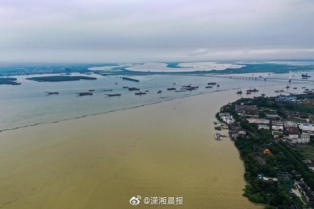 死虾子能吃吗，死虾子能吃吗请专家回答（洪水接触的所有食物需丢弃）