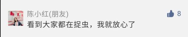 家里有好多黑色的小虫子是什么，家里出现很多小黑虫像跳蚤是什么（最近你家到处都是的小黑虫）