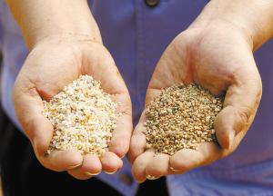 砂子一方多少公斤，一方沙子多少公斤（机车上砂工 每天需要端一吨砂）