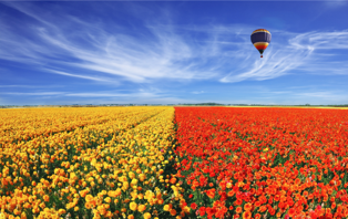 光的基本三原色，防蓝光眼镜or防紫光眼镜