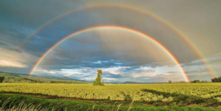 光的基本三原色，防蓝光眼镜or防紫光眼镜