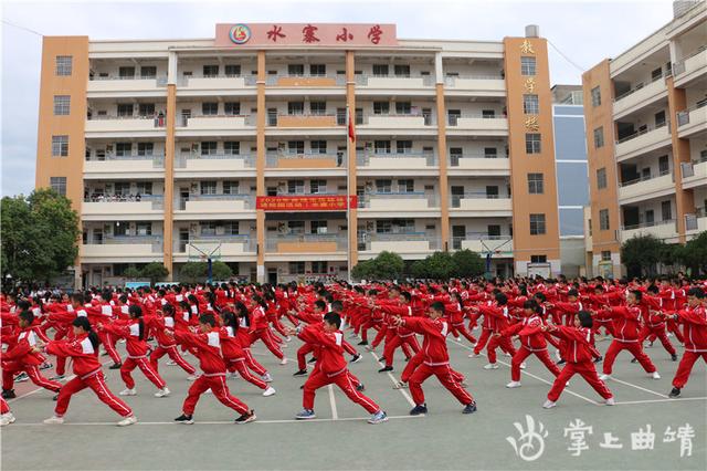 二人三足什么生肖，猜什么生肖（曲靖市：传统体育项目走进学校）