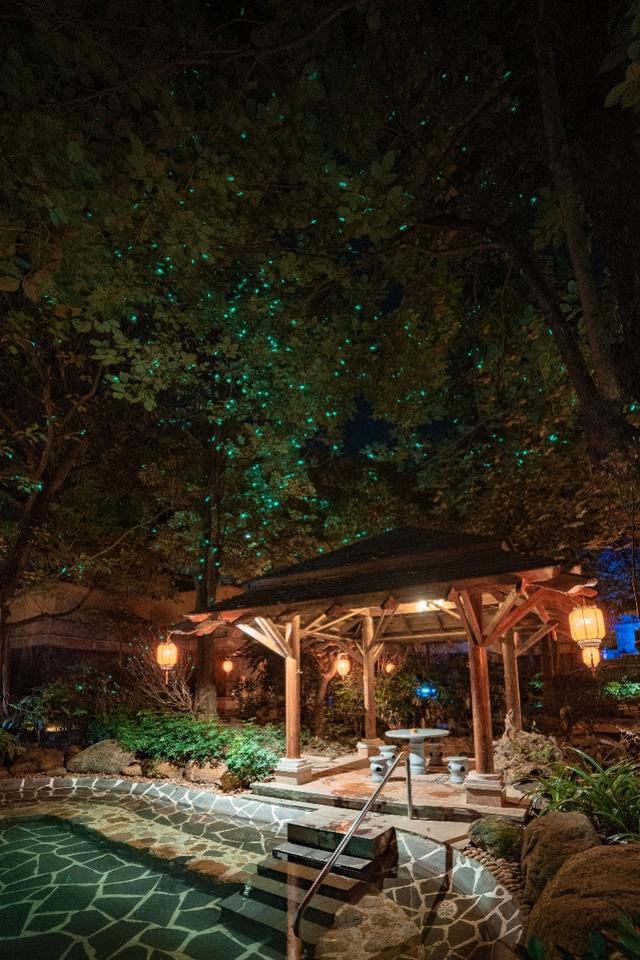 夏天可以泡温泉吗，夏天泡温泉会不会很热（如何正确泡个“三伏浴”防冬病）