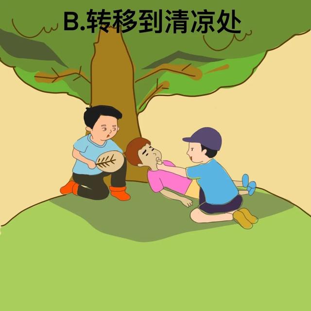 台风风力最大的部位是哪个地方，台风风力最大的部位是哪（汛期气象安全知识入门考试）