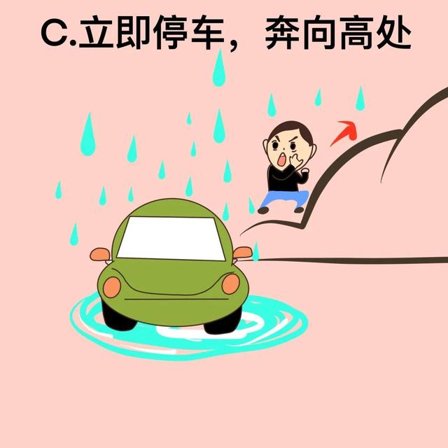 台风风力最大的部位是哪个地方，台风风力最大的部位是哪（汛期气象安全知识入门考试）