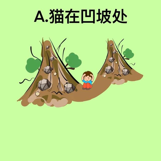 台风风力最大的部位是哪个地方，台风风力最大的部位是哪（汛期气象安全知识入门考试）