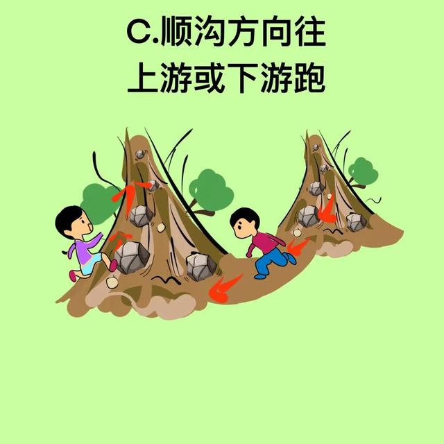 台风风力最大的部位是哪个地方，台风风力最大的部位是哪（汛期气象安全知识入门考试）