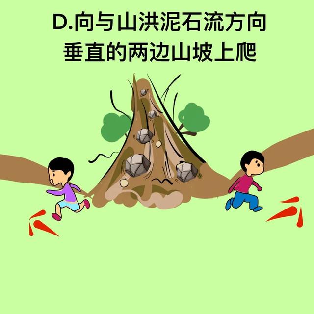 台风风力最大的部位是哪个地方，台风风力最大的部位是哪（汛期气象安全知识入门考试）