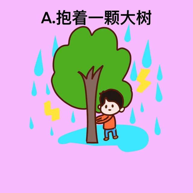 台风风力最大的部位是哪个地方，台风风力最大的部位是哪（汛期气象安全知识入门考试）