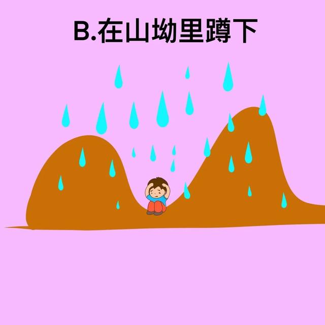 台风风力最大的部位是哪个地方，台风风力最大的部位是哪（汛期气象安全知识入门考试）