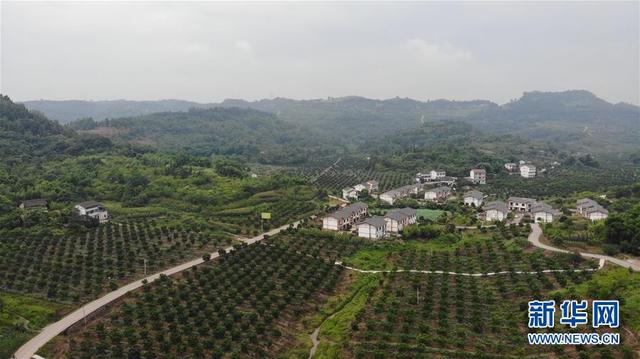 欠你的幸福 陈诗慧，女生唱的超甜的歌曲（摆摆幸福乡村的新鲜事儿）