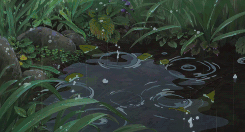 大暑的寓意是什么 大暑节气代表什么，大暑的寓意是什么（今日大暑，夏季的最后一个节气）