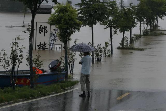 安徽王家坝为什么要泄洪，安徽王家坝今年泄洪了吗（蓄洪区内的村民怎么样了）
