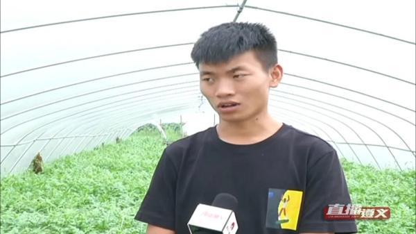 自己家种的西瓜采摘，贵州小伙回家乡种西瓜