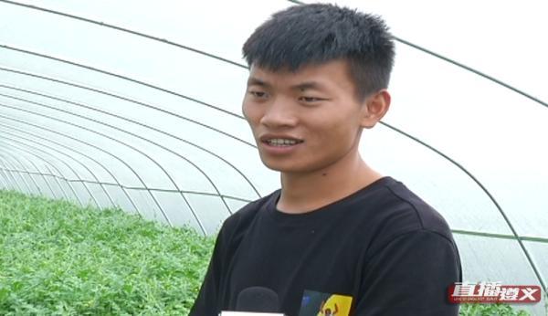 自己家种的西瓜采摘，贵州小伙回家乡种西瓜