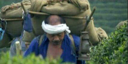 香干是什么东西，香干是什么（流传了百多年历史的倒流水豆腐干）