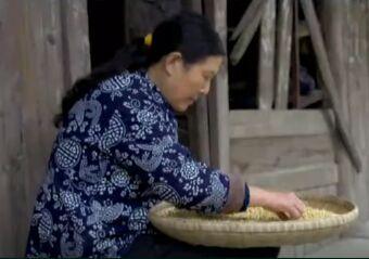 香干是什么东西，香干是什么（流传了百多年历史的倒流水豆腐干）