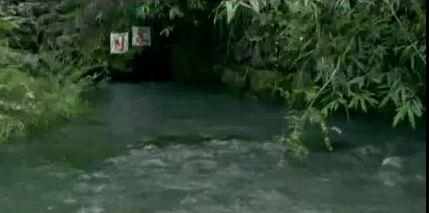 香干是什么东西，香干是什么（流传了百多年历史的倒流水豆腐干）