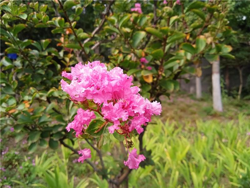 红米客服电话(小米电视客服24小时在线咨询)