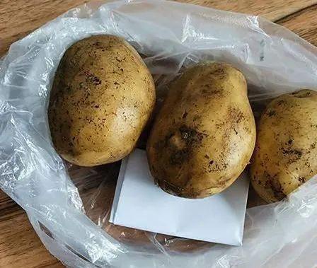 土豆怎么放不发芽，怎样保存土豆不易发芽（放半年都不长芽不变绿）