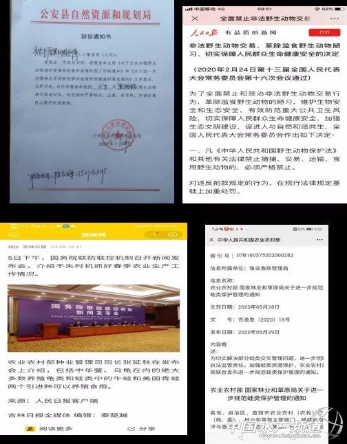 黑斑蛙的养殖技术，黑斑蛙的养殖技术与管理（重生之后的黑斑蛙养殖技巧与病害防控）