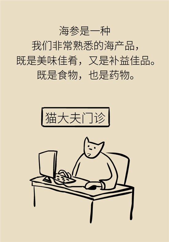 海参哪些人不宜吃海参，哪些人群不适宜吃海参呢（五大禁忌人群了解一下）