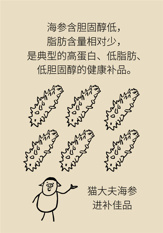 海参哪些人不宜吃海参，哪些人群不适宜吃海参呢（五大禁忌人群了解一下）