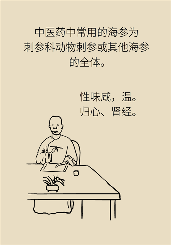 海参哪些人不宜吃海参，哪些人群不适宜吃海参呢（五大禁忌人群了解一下）