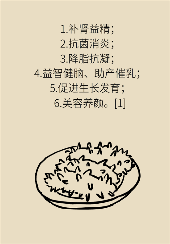 海参哪些人不宜吃海参，哪些人群不适宜吃海参呢（五大禁忌人群了解一下）