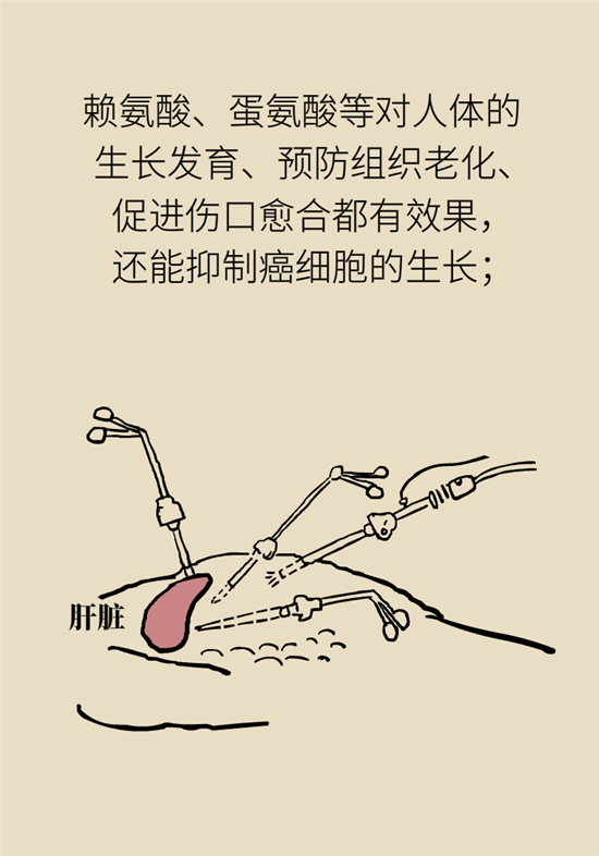 海参哪些人不宜吃海参，哪些人群不适宜吃海参呢（五大禁忌人群了解一下）