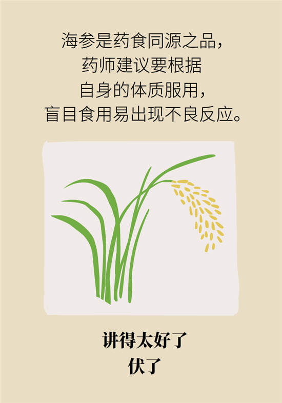 海参哪些人不宜吃海参，哪些人群不适宜吃海参呢（五大禁忌人群了解一下）