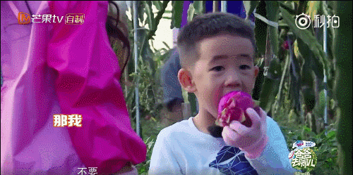 可以当染色剂的水果蔬菜，什么蔬菜或者水果可以染色（这年头火龙果、菠菜还能染发）