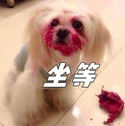 可以当染色剂的水果蔬菜，什么蔬菜或者水果可以染色（这年头火龙果、菠菜还能染发）