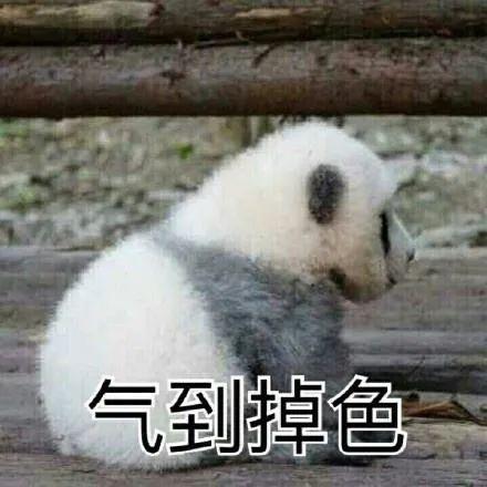 可以当染色剂的水果蔬菜，什么蔬菜或者水果可以染色（这年头火龙果、菠菜还能染发）