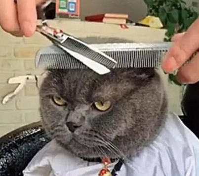 可以当染色剂的水果蔬菜，什么蔬菜或者水果可以染色（这年头火龙果、菠菜还能染发）