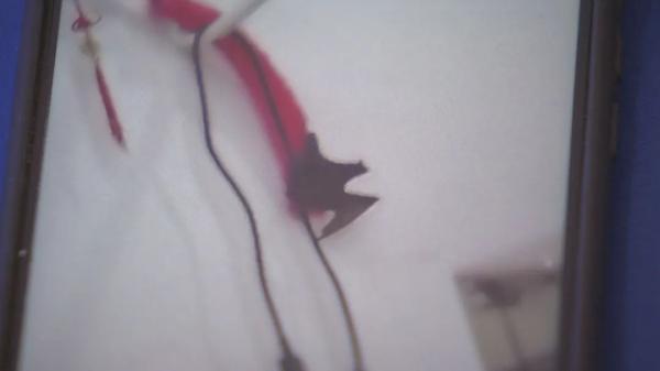 蝙蝠飞进家里好吗，家里进蝙蝠的真正预兆（上海居民家里接连出现蝙蝠）